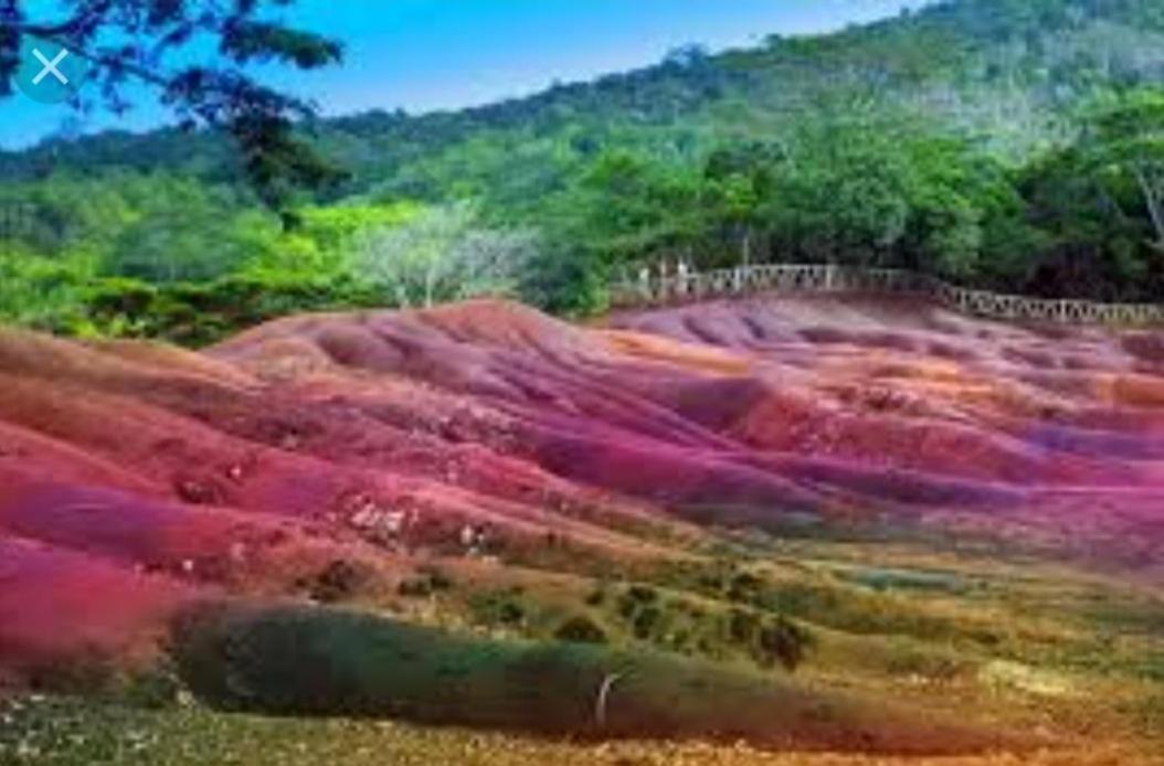 אפרטהוטל פרייבר Oasis Tropical מראה חיצוני תמונה