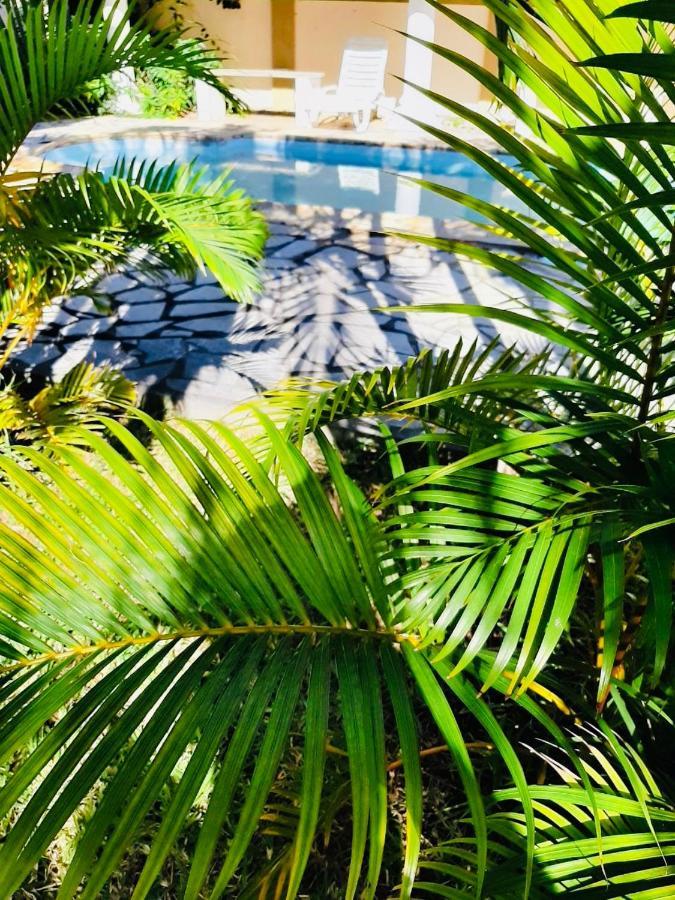 אפרטהוטל פרייבר Oasis Tropical מראה חיצוני תמונה